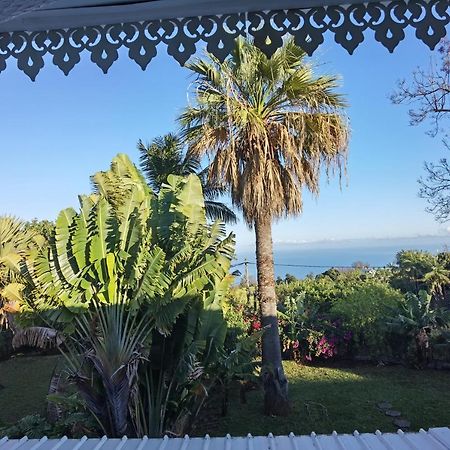 Le Guillaume Le Jacaranda Du Guillaume Bed & Breakfast エクステリア 写真