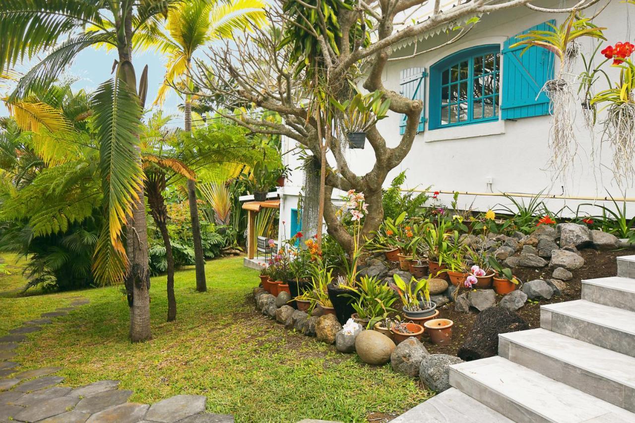 Le Guillaume Le Jacaranda Du Guillaume Bed & Breakfast エクステリア 写真